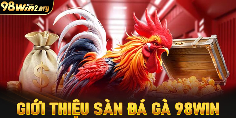 Giới thiệu chi tiết về sàn cá cược đá gà 98win 