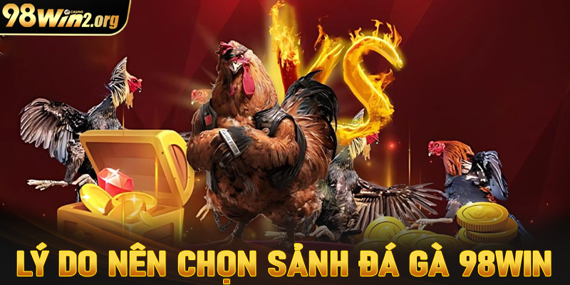 Lý do nên chọn nhà cái 98win để cá cược đá gà trực tuyến 